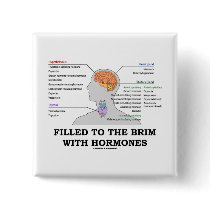 Filled To The Brim With Hormones (Anatomy)