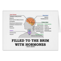 Filled To The Brim With Hormones (Anatomy)