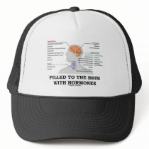 Filled To The Brim With Hormones (Anatomy)