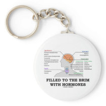 Filled To The Brim With Hormones (Anatomy)