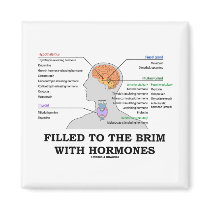 Filled To The Brim With Hormones (Anatomy)