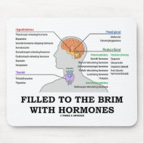 Filled To The Brim With Hormones (Anatomy)