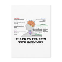 Filled To The Brim With Hormones (Anatomy)