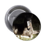 Filly Button