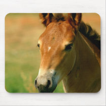 Filly Mouse Pad