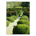 Filoli Gardens Card