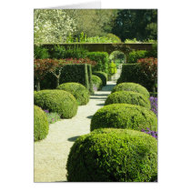 Filoli Gardens Card