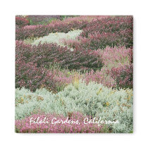 Filoli Gardens Magnet