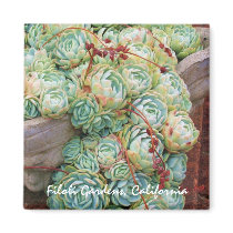 Filoli Gardens Magnet