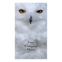 Fin de hibou de Milou vers le haut de carte de vis