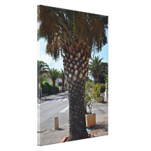 Fin équilibrée de palmier impressions sur toile