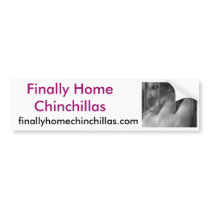 Finally Home Chinchillas, Chilli