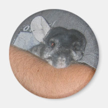 Finally Home Chinchillas: Wubbzy Fridge Magnet