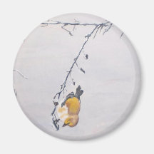 Finch in Winter Fridge Magnet
