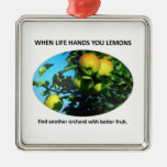 find-another-orchard-with-better-fruit christmas ornament