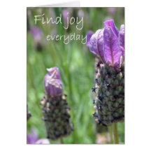 Find Joy Card
