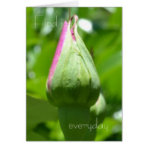 Find Joy Everyday Card