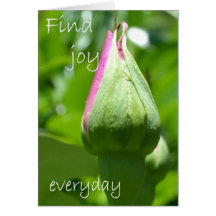 Find Joy Everyday Greeting Card