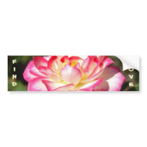 FIND LOVE bumper stickers Pink White Rose Flower