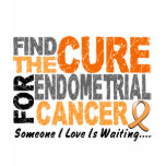 Find The Cure 1 ENDOMETRIAL CANCER T-Shirts & Gift