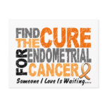 Find The Cure 1 ENDOMETRIAL CANCER T-Shirts & Gift