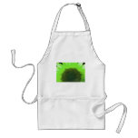 Find the Honeybee 1b Apron