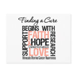 Finding a Cure For Uterine Cancer Post Cards