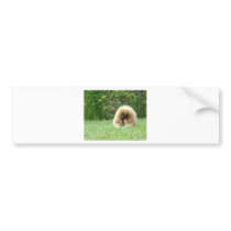 Finding Lunch Bumper Sticker