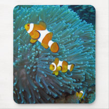 Finding nemo? mousepads