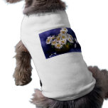 Fine Art Daisies in Purple Background Pet Tee