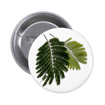 Fine Leaved Ferns Embossed Button