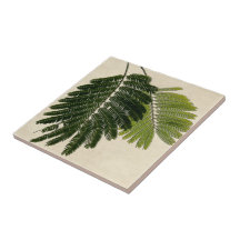 Fine Leaved Ferns Embossed Ceramic Tile