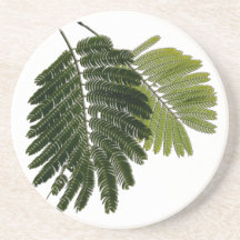 Fine Leaved Ferns Embossed Coasters