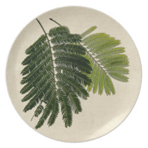 Fine Leaved Ferns Embossed Dinner Plates