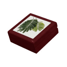 Fine Leaved Ferns Embossed Trinket Boxes