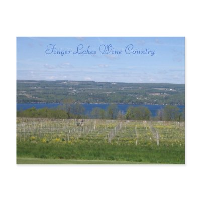 Finger Lakes Wine Country Post Cards by KROPWD