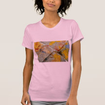 Finger paint on corners of four paper towels tshirts