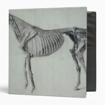 Finished Study for the Fifth Anatomical Table 3 Ring Binders