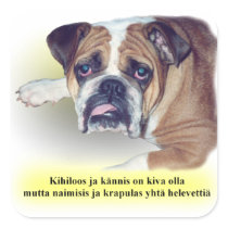 Finnish hangover bulldog