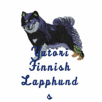 Finnish Lapphund  - Yutori