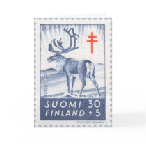 Finnish Reindeer Christmas Card