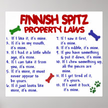 FINNISH SPITZ PL2 POSTER