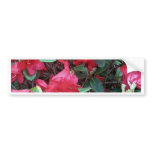 FIORI BUMPER STICKERS