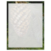 Fir tree fruit (abies species) letterhead