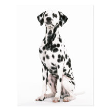 Fire Dog Postcard