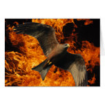 Fire Eagle Cards