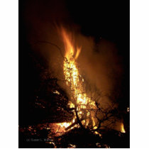 Fire flame man shape burning bonfire picture photo sculpture