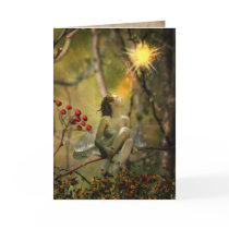 fire fly greeting card