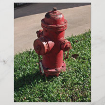Fire hydrant custom flyer