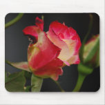 Fire & Ice Rose Mousepad